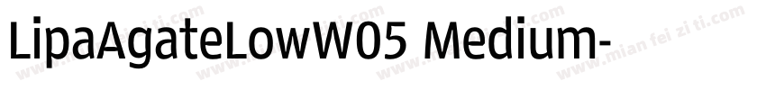 LipaAgateLowW05 Medium字体转换